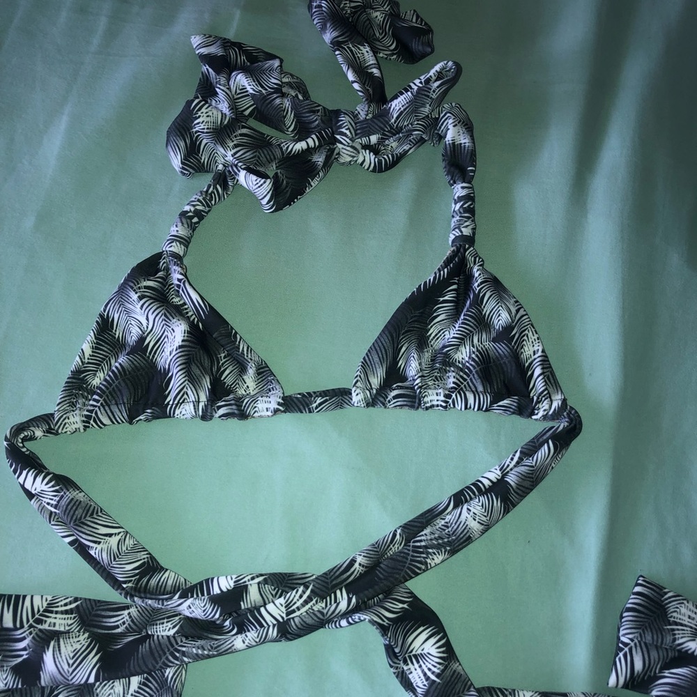 Acacia night palm top